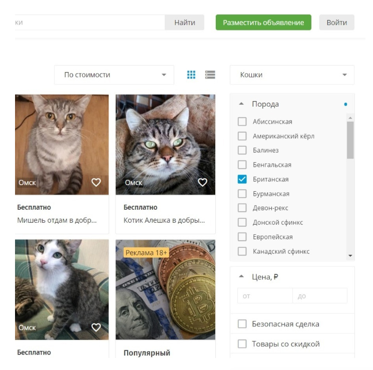 авито котики