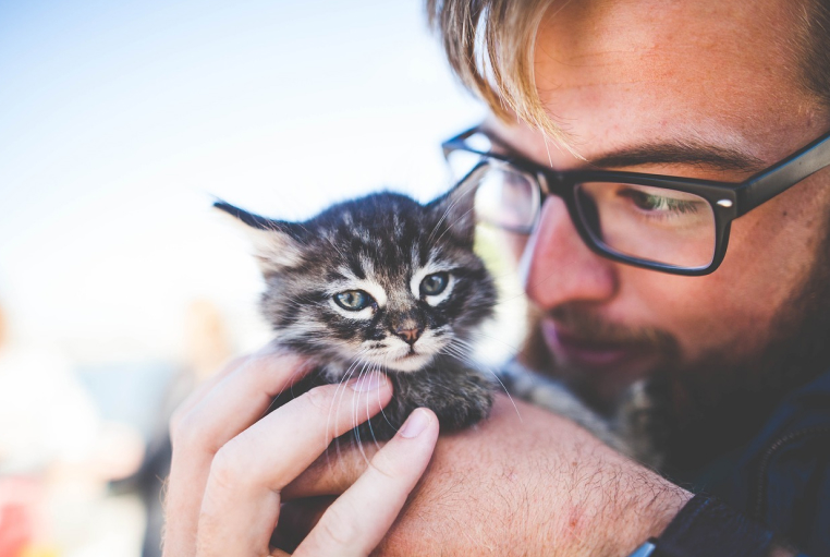 CatcatPrev